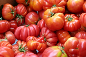 Heirloom Tomato 4
