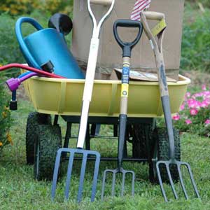 How to Choose the Best Tools for Organic Gardening